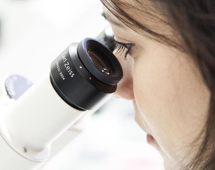 Centre de recherche - Microscope
